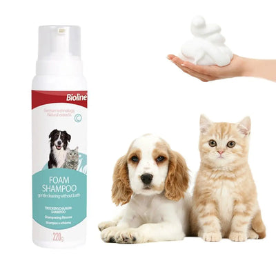 Bioline Bioline Shampoo Espuma Seco Perros Gatos 220g