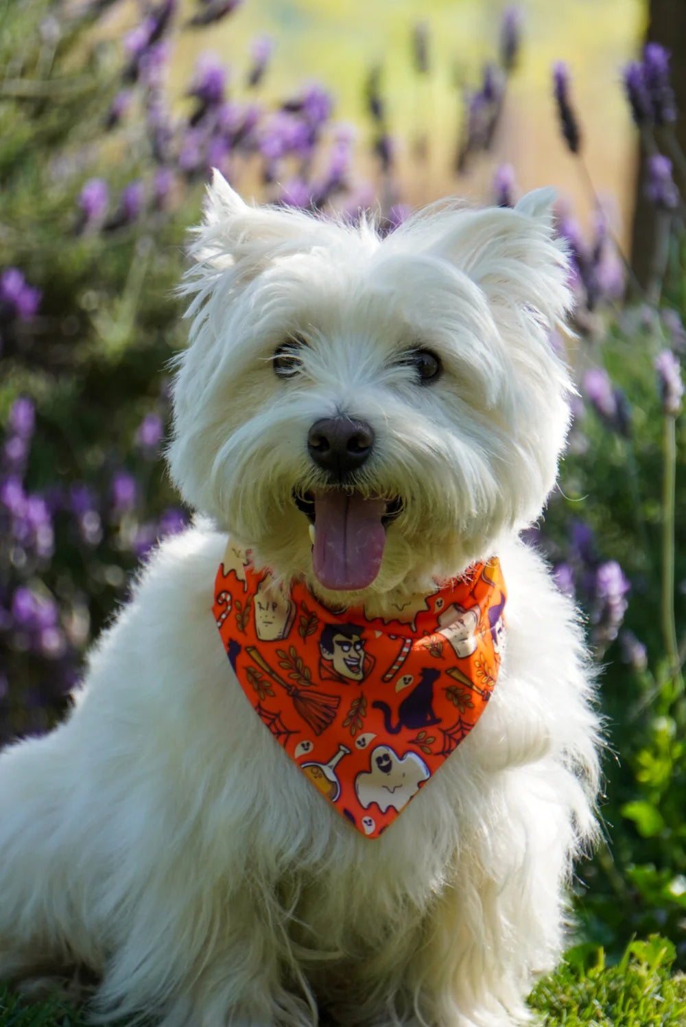 Bandana By Simona Drácula