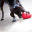 Kong Dog Wobbler Perros S