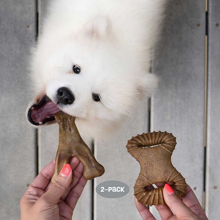 Benebone Dog Tiny 2 Pack Tocino