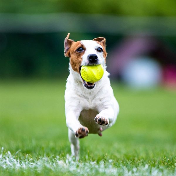 Gigwi Skipdawg Agility Ball